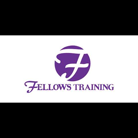Fellows Training photo